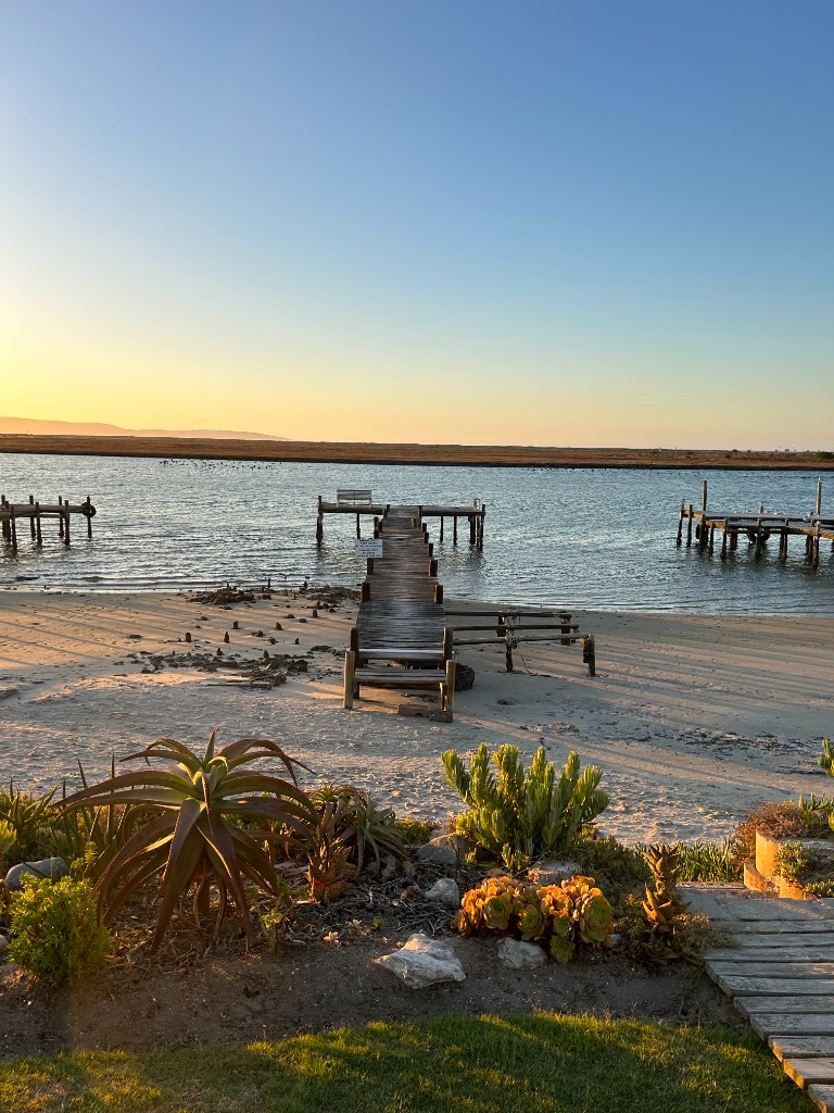 Succulents in the foreground and a wooden jetty reaching into still estuary water at golden hour, with birds on the water.