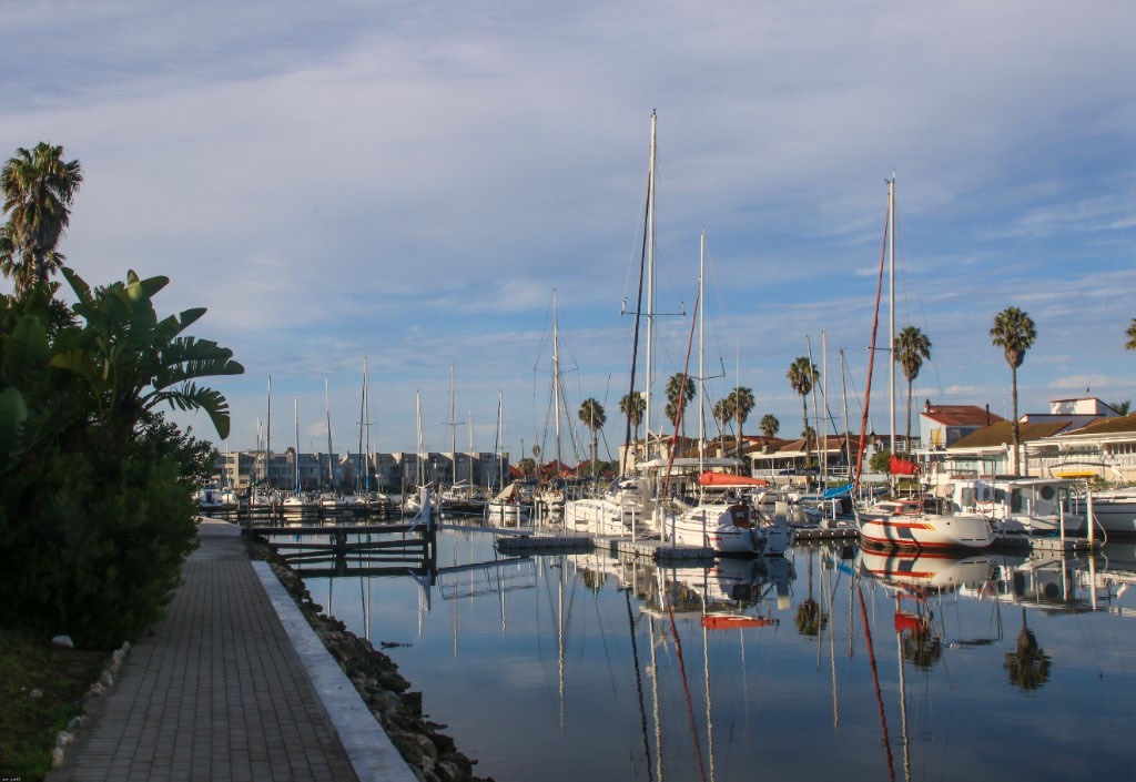 Sailboats and yachts moored in still water at Port Owen marina, with palm trees and holiday flats reflected in the harbour.